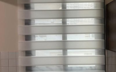 zebra blinds for living room